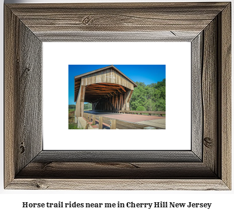 horse trail rides near me in Cherry Hill, New Jersey